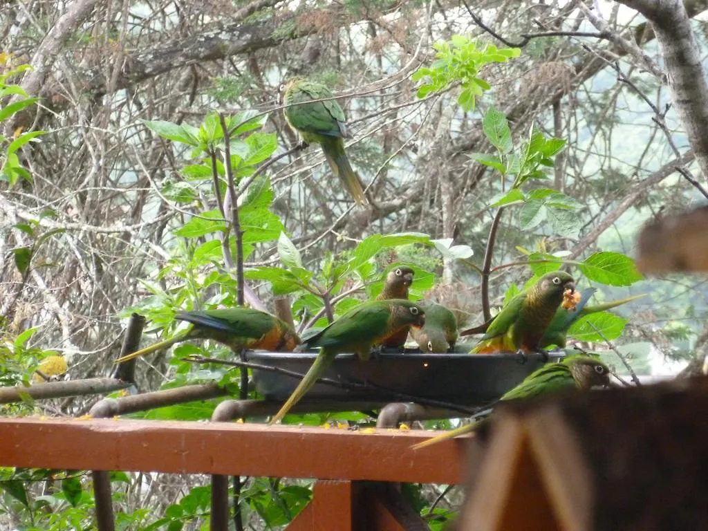 ** Värdshus Pousada Dos Esquilos Campos do Jordão Brasilien