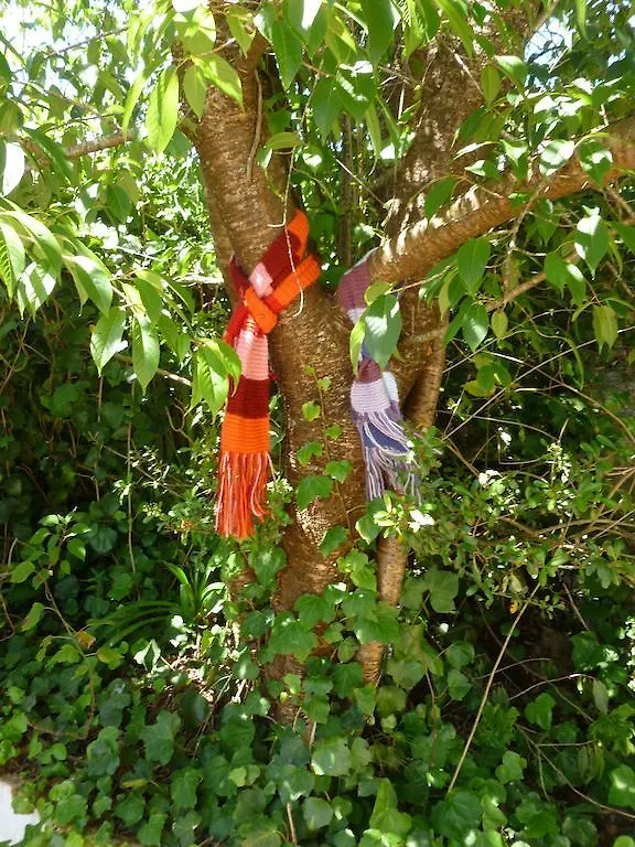 Värdshus Pousada Dos Esquilos Campos do Jordão